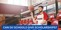 Can dii schools give scholarships