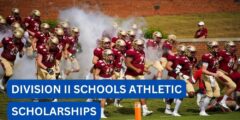 Can divIsion ii schools give athletic scholarships