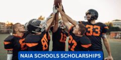 Can naia schools give scholarships