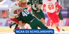 Can ncaa divIsion ii offer scholarships