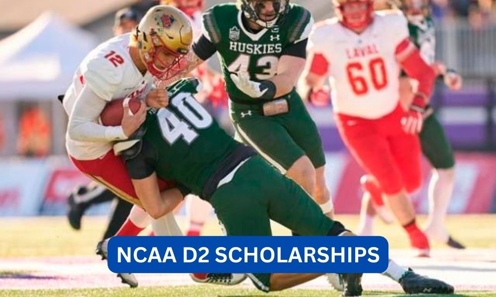 Can ncaa divIsion ii offer scholarships