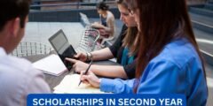 Can you apply for scholarships in second year