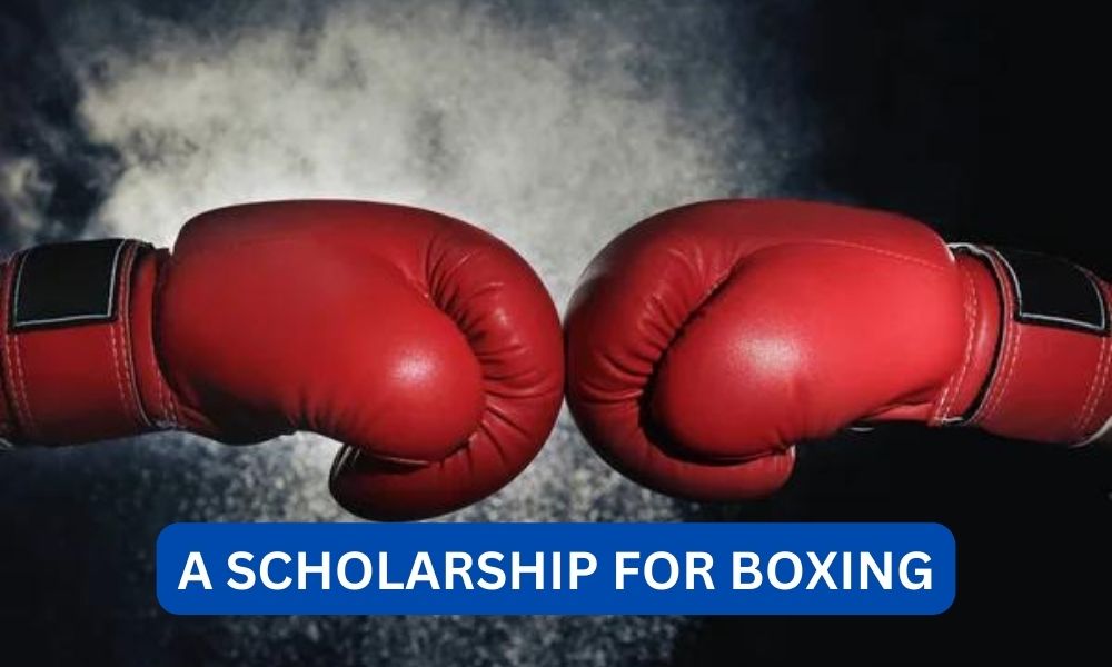 Can you get a scholarship for boxing