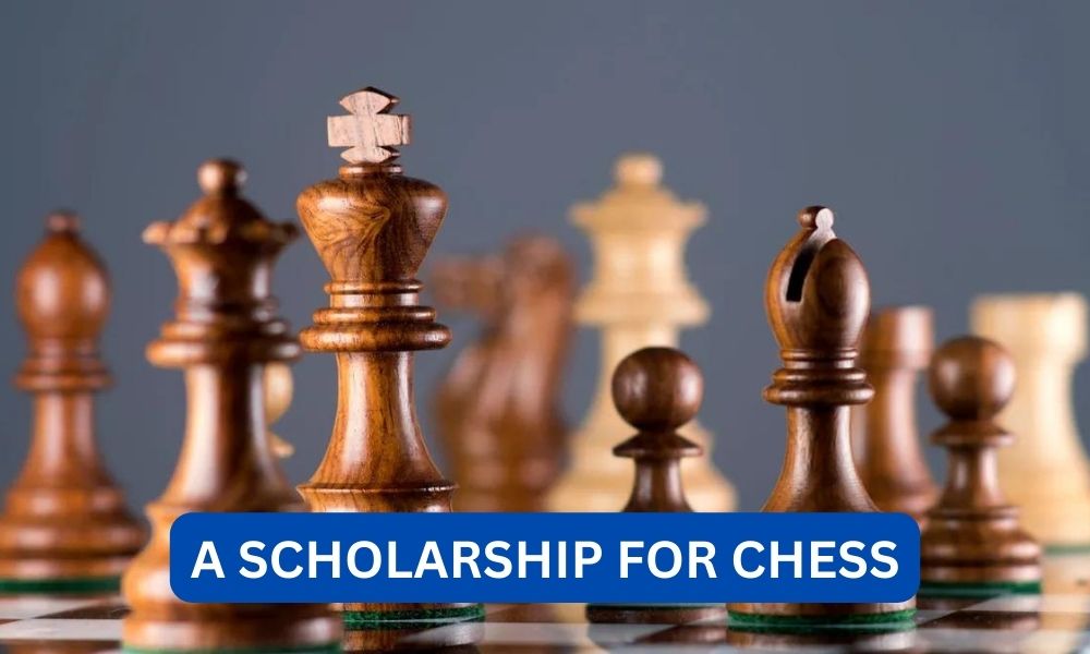Can you get a scholarship for chess