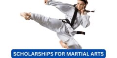 Can you get a scholarship for martial arts