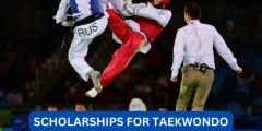 Can you get a scholarship for taekwonDo