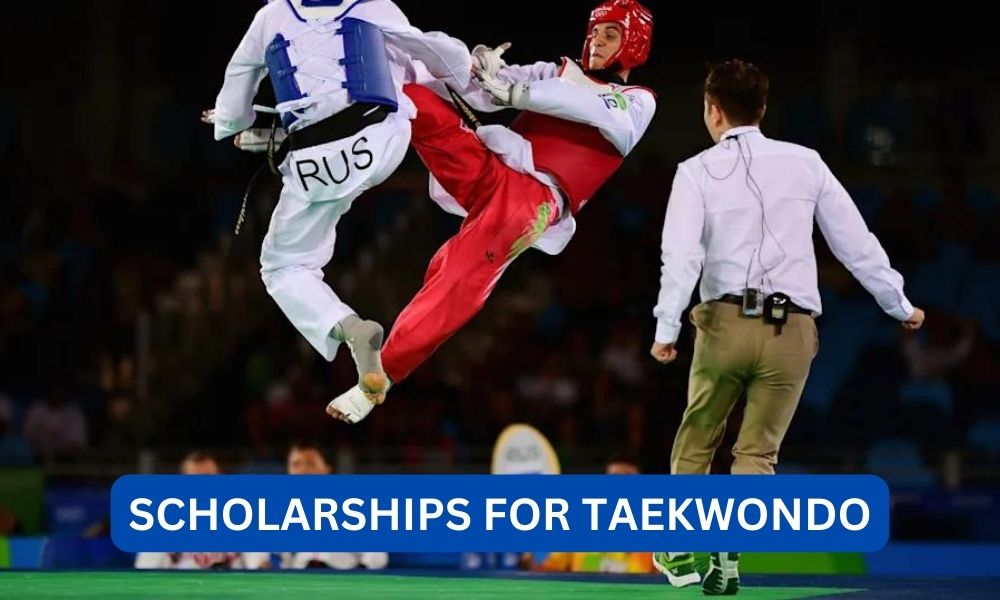 Can you get a scholarship for taekwonDo