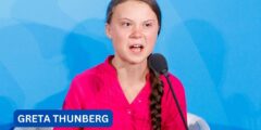 Thunberg’s Controversial Palestinian Solidarity Post