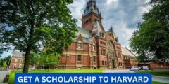 How Do you get a scholarship to harvard