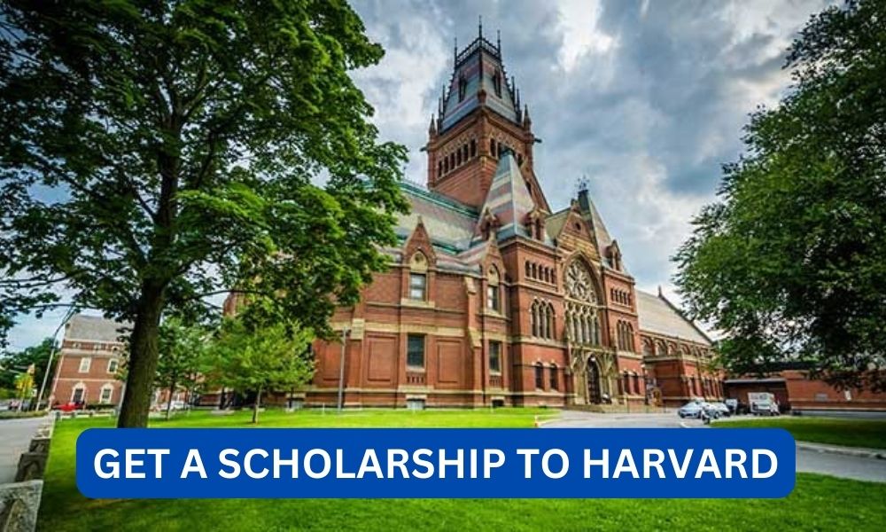 How Do you get a scholarship to harvard