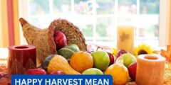 What Does Happy Harvest Mean?