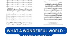 What a wonderful world - mark hayes?
