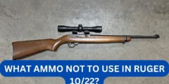 What ammo not to use in ruger 10/22?