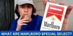 What are marlboro special select?