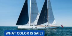 What color is sail?