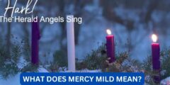What does mercy mild mean?