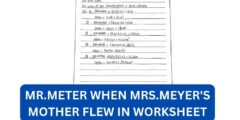 What happened to mr.meter when mrs.meyer's mother flew in worksheet?