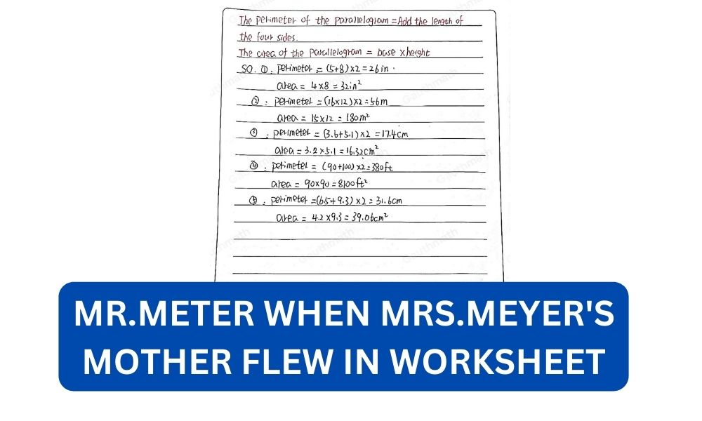 What happened to mr.meter when mrs.meyer's mother flew in worksheet?