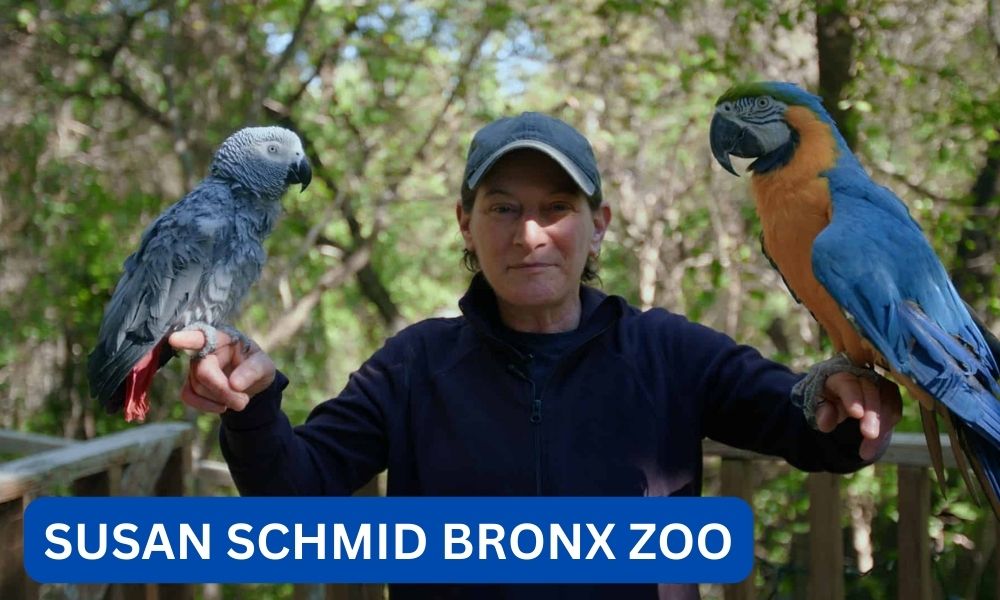 What happened to susan schmid bronx zoo?