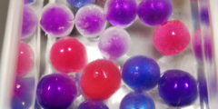 What happens if you leave orbeez in water too long?
