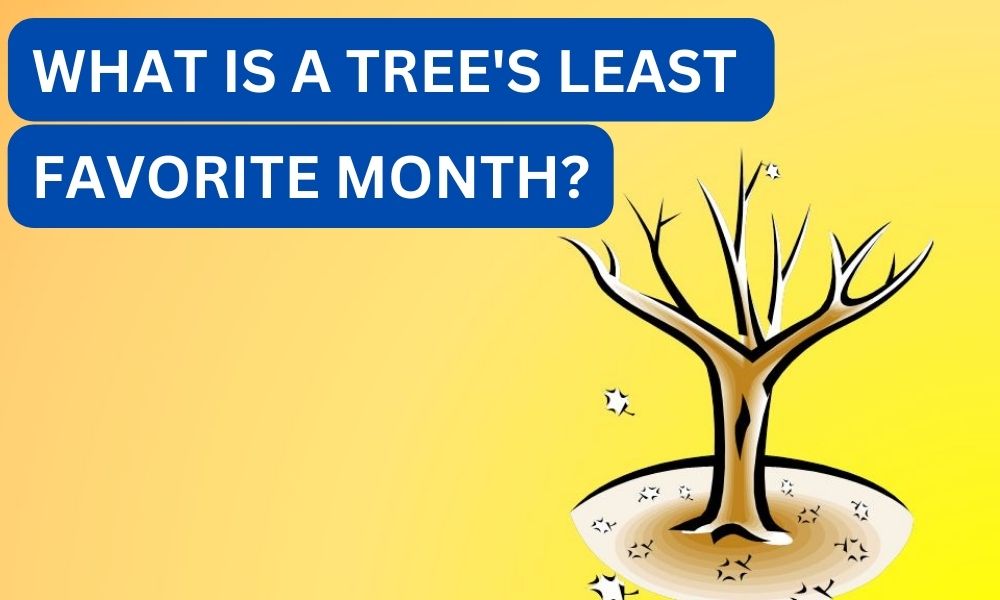 What is a tree's least favorite month?