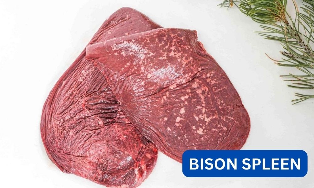 What is bison spleen?