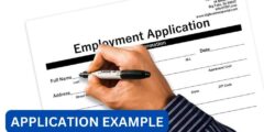 What is evidence of excellence in job application example?