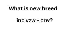 What is new breed inc vzw – crw?