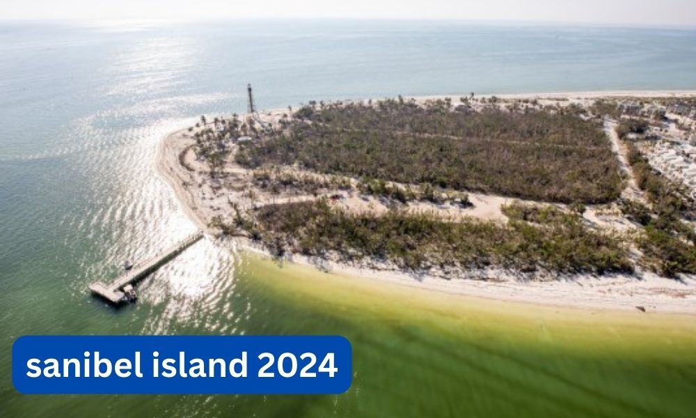 What is open on sanibel island 2024?