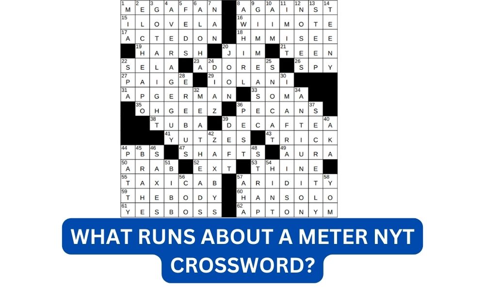 What runs about a meter nyt crossword?