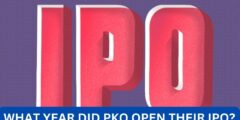What year did pko open their ipo?