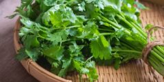 How much cilantro to eat for health benefits?