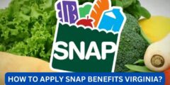 How to apply snap benefits virginia?