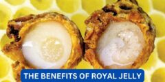 What are benefits of royal jelly?