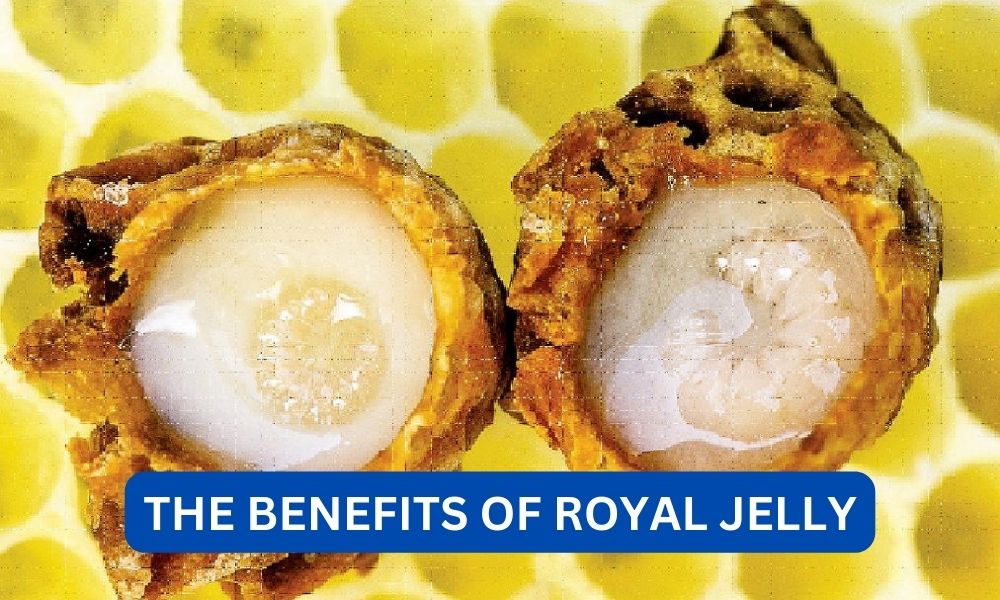 What are benefits of royal jelly?