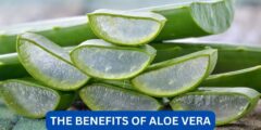 What are the 10 benefits of aloe vera?