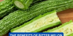 What are the benefits of bitter melon
