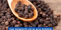 What are the benefits of black pepper?