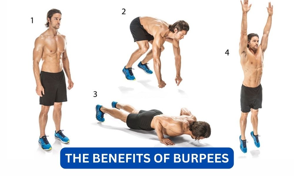 What are the benefits of burpees?