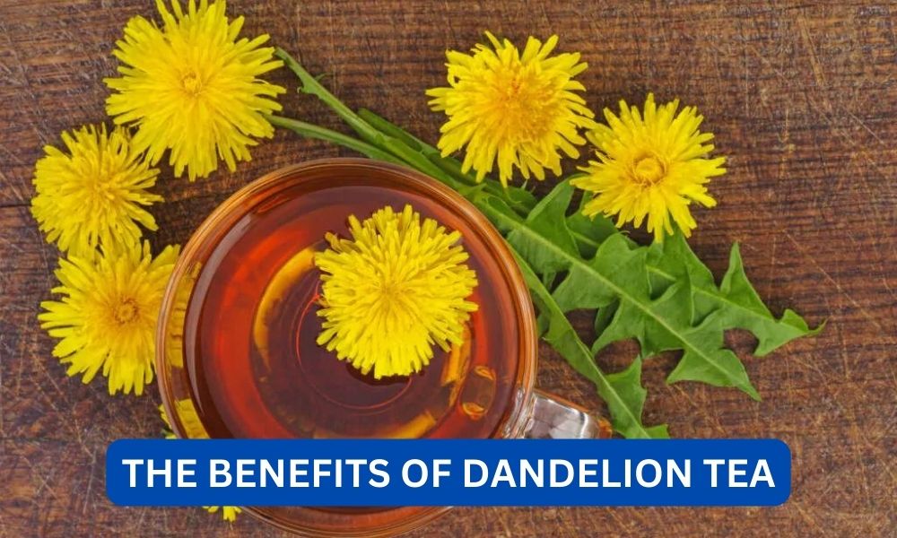 What are the benefits of dandelion tea?