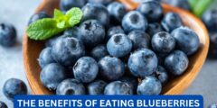 What are the benefits of eating blueberries?
