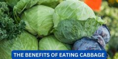 What are the benefits of eating cabbage?