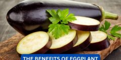 What are the benefits of eggplant?