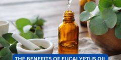 What are the benefits of eucalyptus oil?