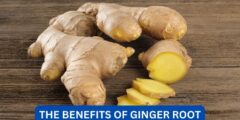 What are the benefits of ginger root?