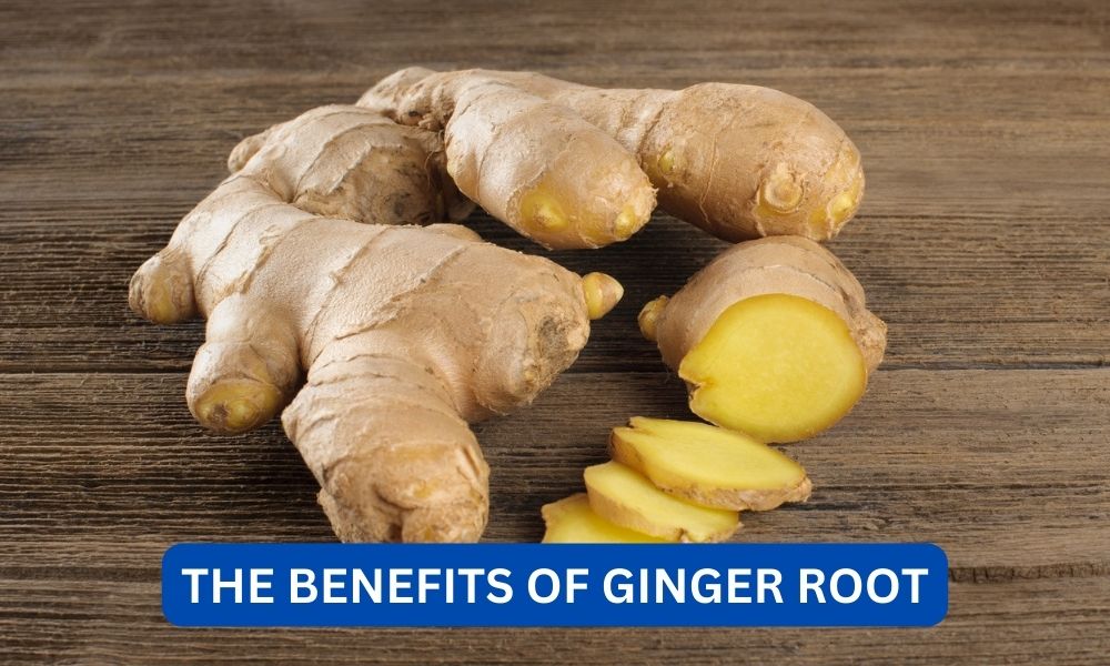 What are the benefits of ginger root?