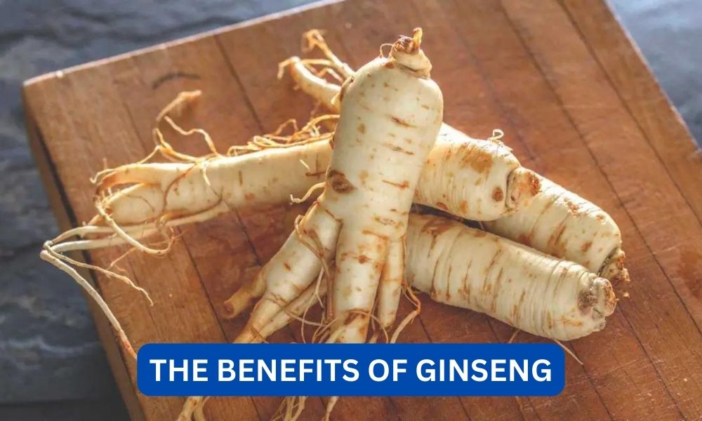 What are the benefits of ginseng?