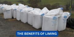 What are the benefits of liming?