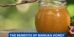 What are the benefits of manuka honey?