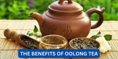 What are the benefits of oolong tea?